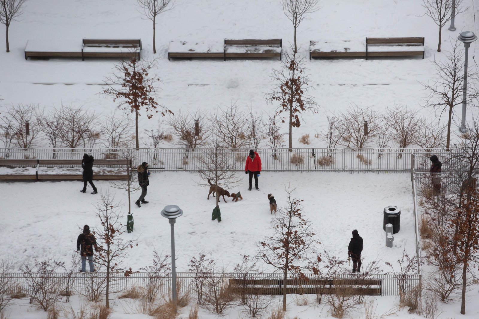 2月18日，人們在美國紐約一個積雪覆蓋的公園內遛狗。當日，美國部分地區遭遇風雪天氣。（新華社）