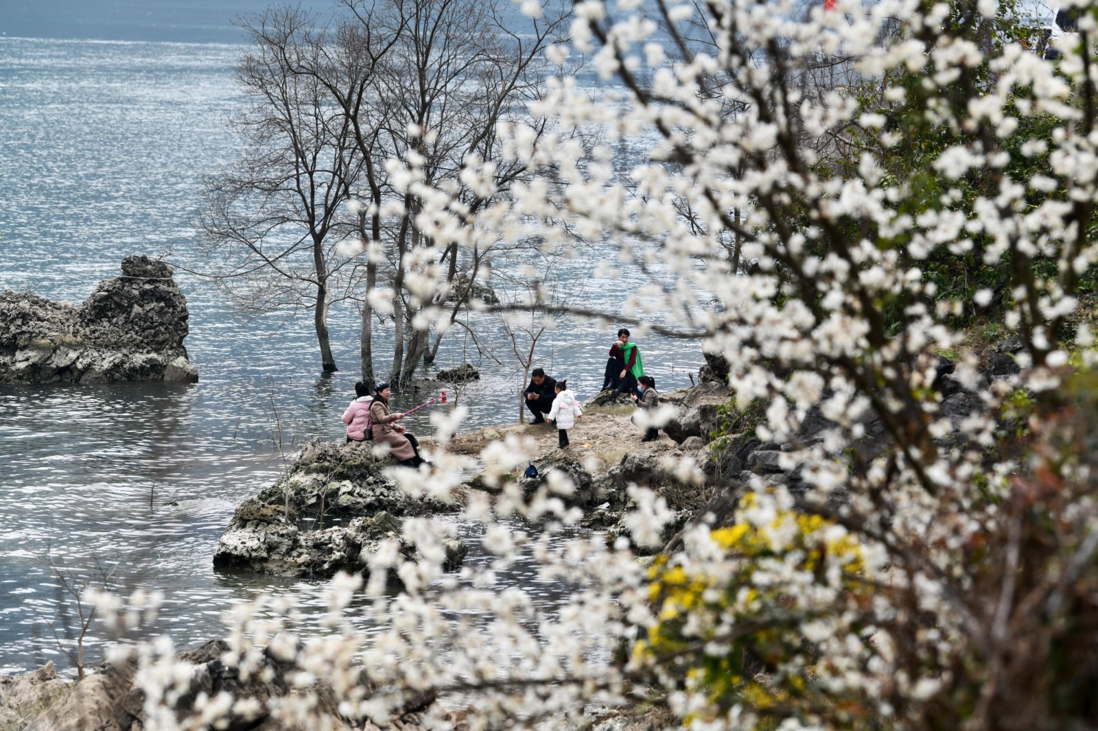 早春時節，地處烏蒙山腹地、烏江畔的貴州畢節市黔西縣新仁苗族鄉化屋村種植的櫻桃花次第開放，古朴的苗寨、壯美的烏江源百里畫廊吸引着眾多遊客和附近村民前來踏春觀光。化屋村過去叫「化屋基」，意為「懸崖下的村寨」。這裏山勢雄奇，水域寬廣，風景如畫。（新華社）