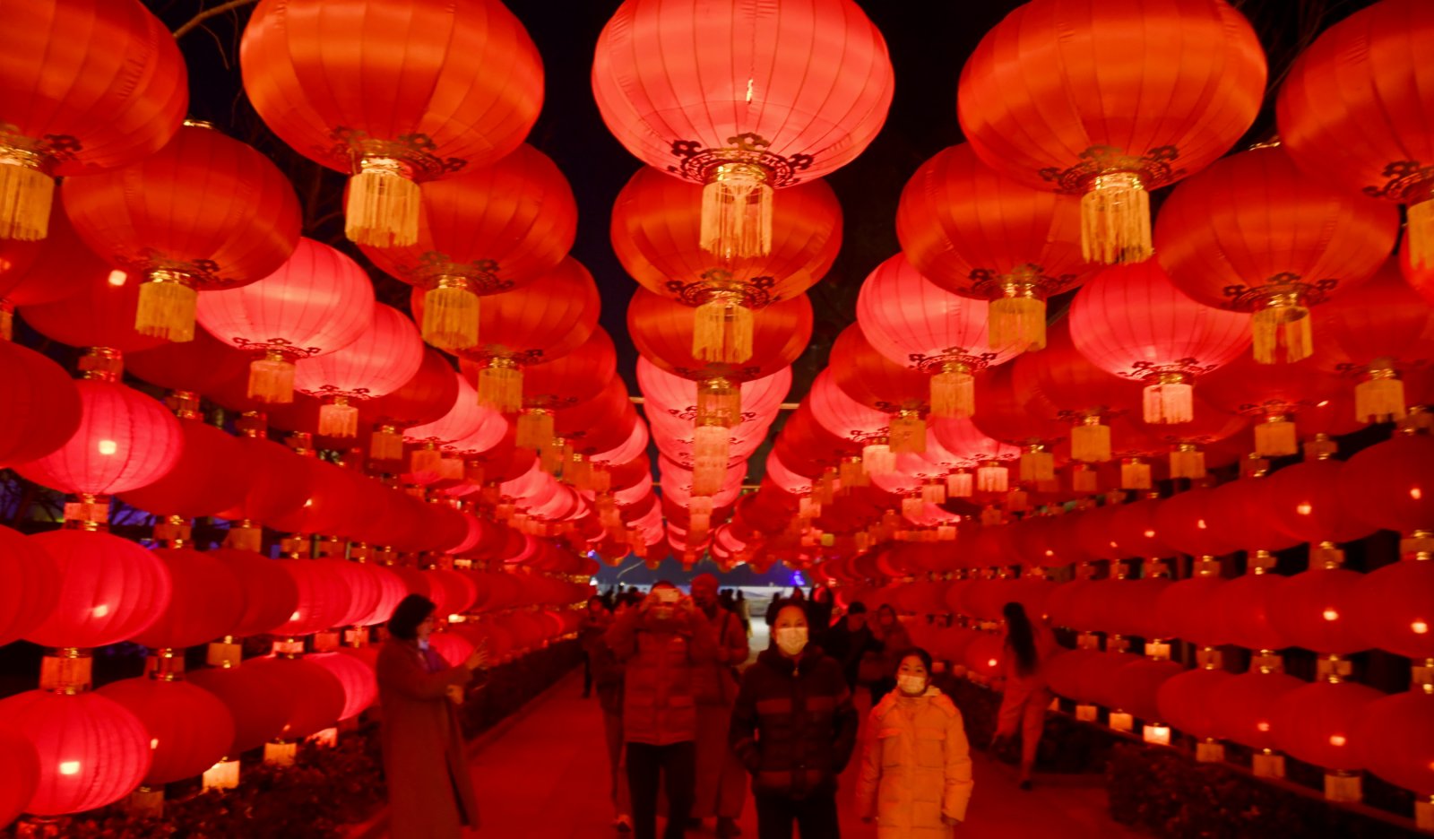 2月26日，市民在北京市豐台區王佐鎮南宮五洲植物樂園觀賞花燈。新華社