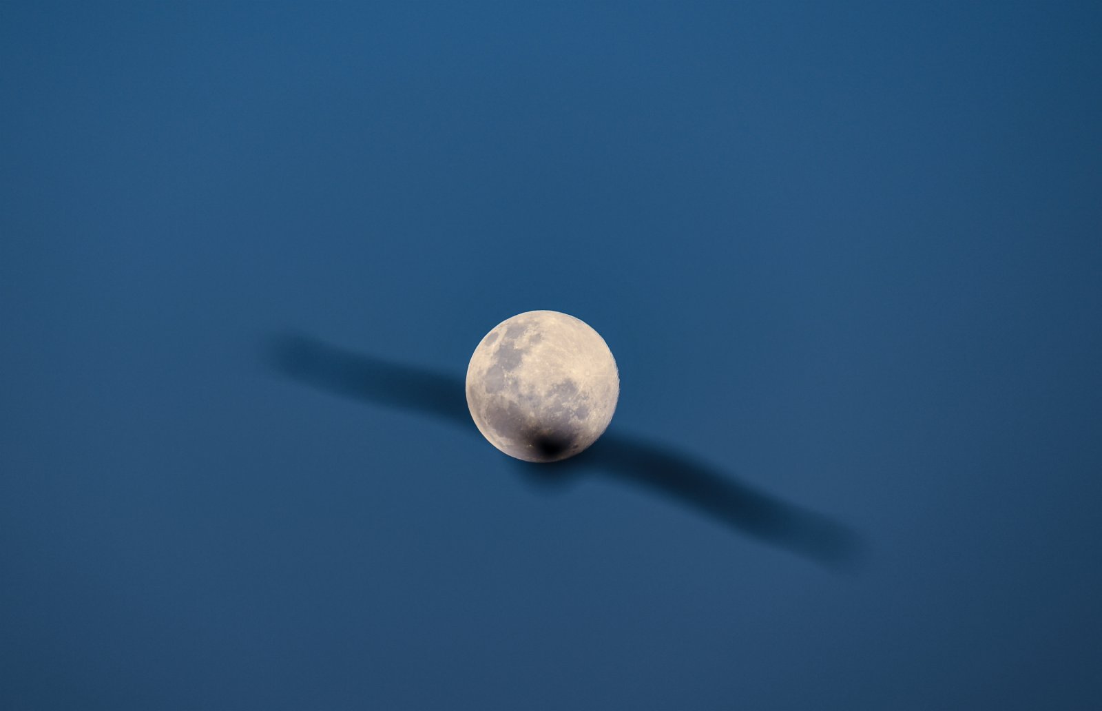 2月26日，在肯尼亞首都內羅畢，一隻鳥飛過鏡頭中的圓月。新華社