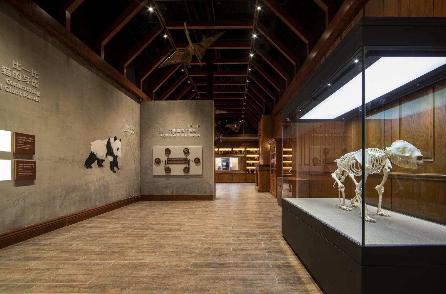 3日，全球首家以大熊貓為主題的互動體驗專題博物館——成都大熊貓博物館在成都開館（受訪者供圖）