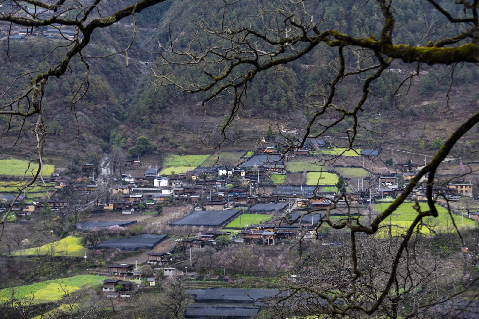 3月7日拍攝的怒江大峽谷村莊風光。（新華社）