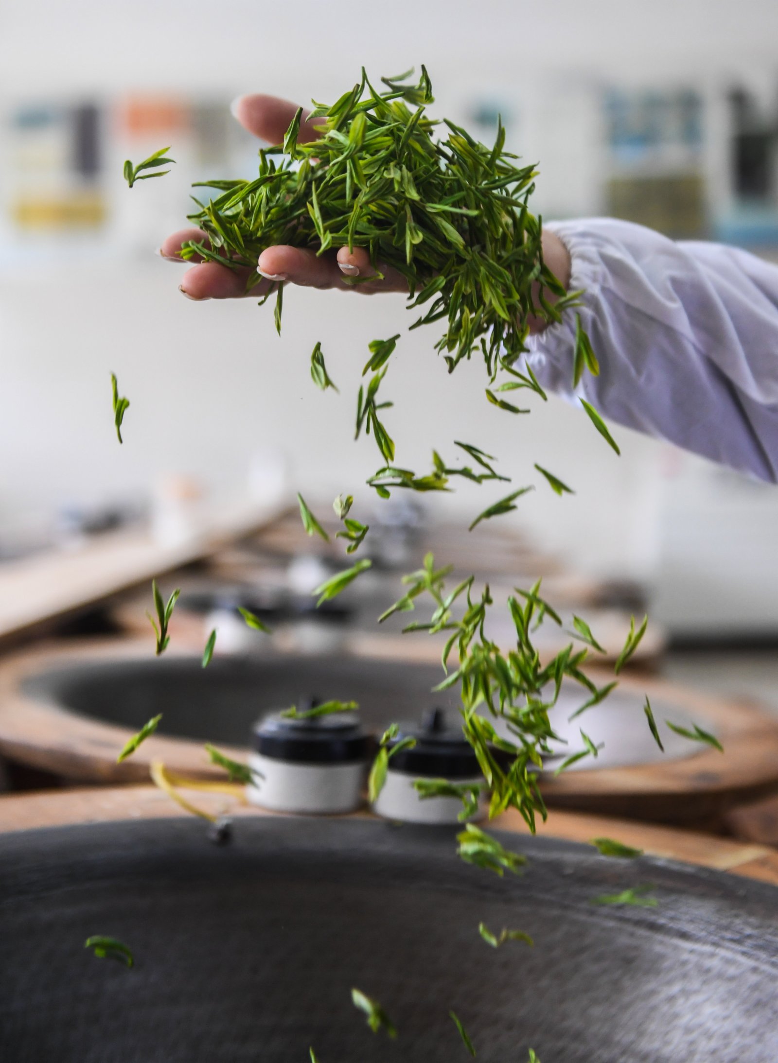 12日，在杭州市西湖風景名勝區滿覺隴村的中國茶葉博物館滿覺隴炒茶中心內，茶農在手工炒制西湖龍井茶。
