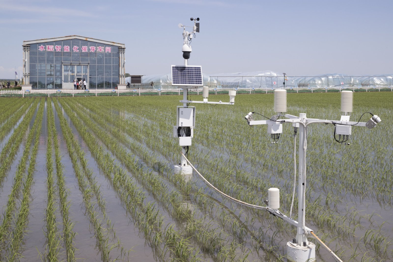 黑龍江省富錦市東北水田現代農機專業合作社稻田裏的專業設備（2020年6月12日攝）。