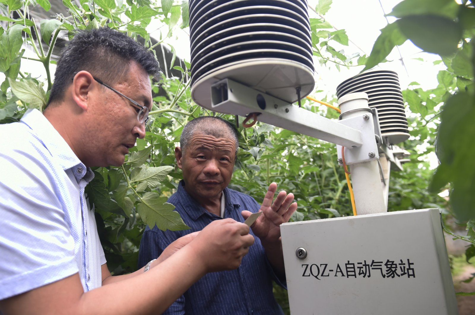 山東省鄒平縣明集鎮金坤生態園技術員在給農民講解大棚自動氣象站的運轉情況，該設備可以採集大棚內的光照、溫濕度、氣壓、土壤酸鹼度等數據（2018年5月14日攝）。