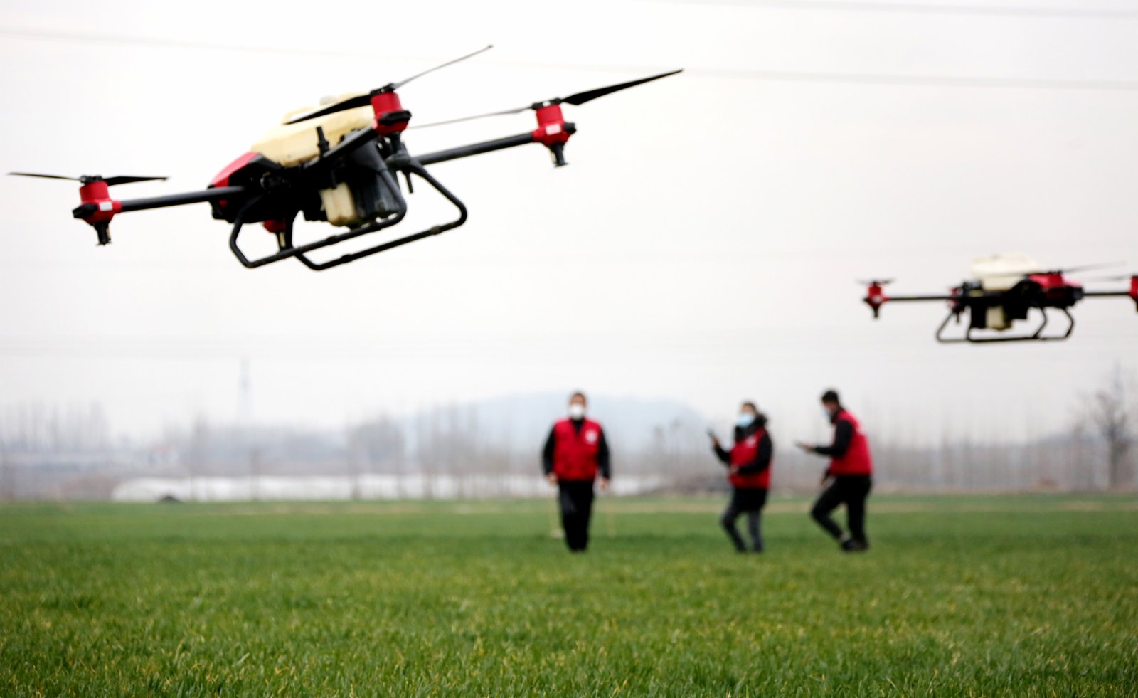 在山東省棗莊市市中區稅郭鎮野崗埠村，工作人員使用植保無人機在麥田裏噴灑除草劑（2021年2月27日攝）。