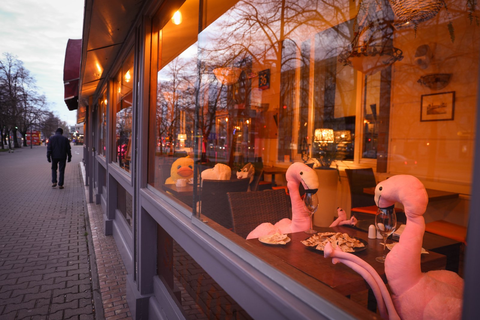 4月13日，波蘭首都華沙一家餐館將動物玩偶擺放在靠窗座位上吸引顧客。（新華社）