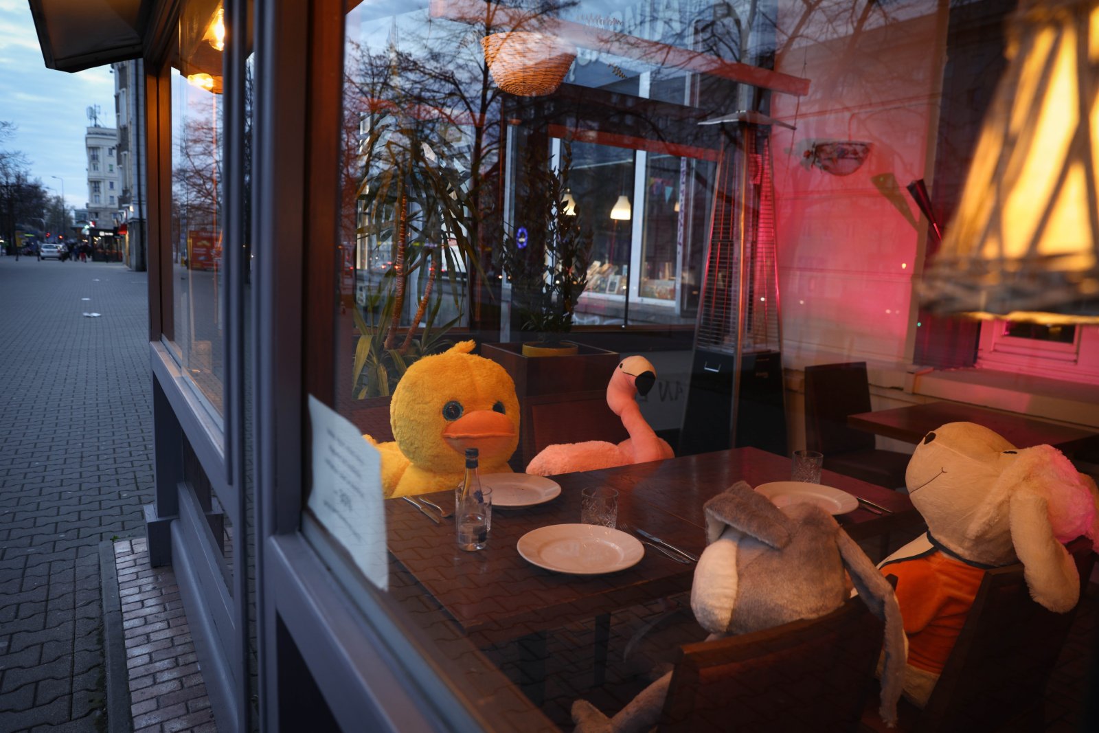 4月13日，波蘭首都華沙一家餐館將動物玩偶擺放在靠窗座位上吸引顧客。（新華社）