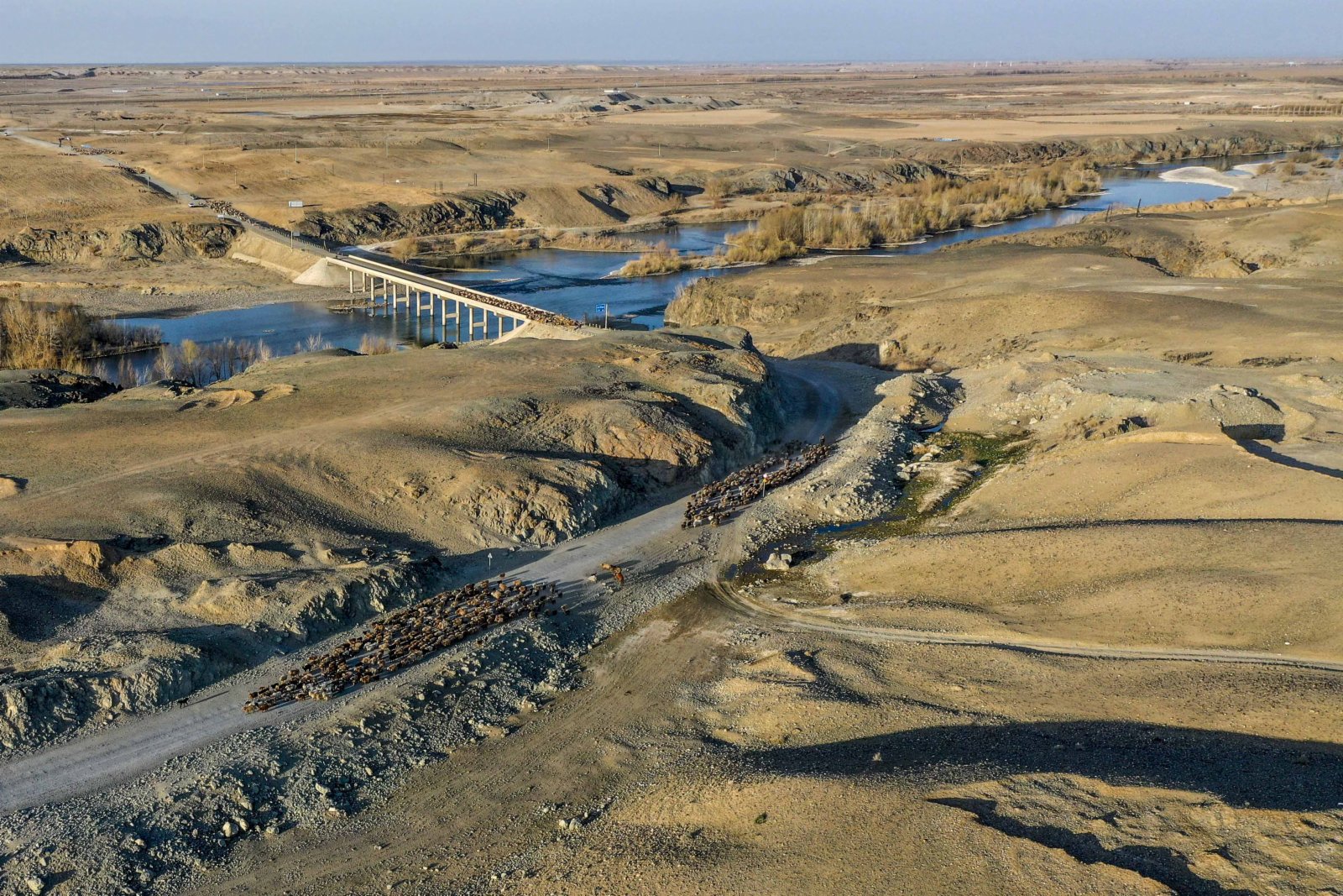 4月17日，新疆福海縣牧民趕着牲畜在山谷間穿行。