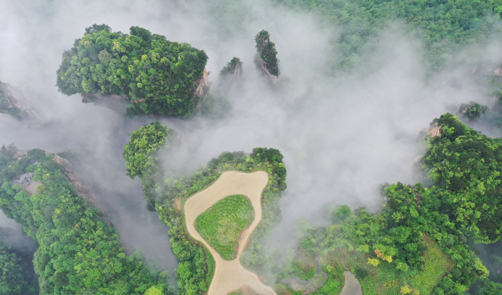 這是5月14日拍攝的張家界武陵源景區峰林雲海景觀。