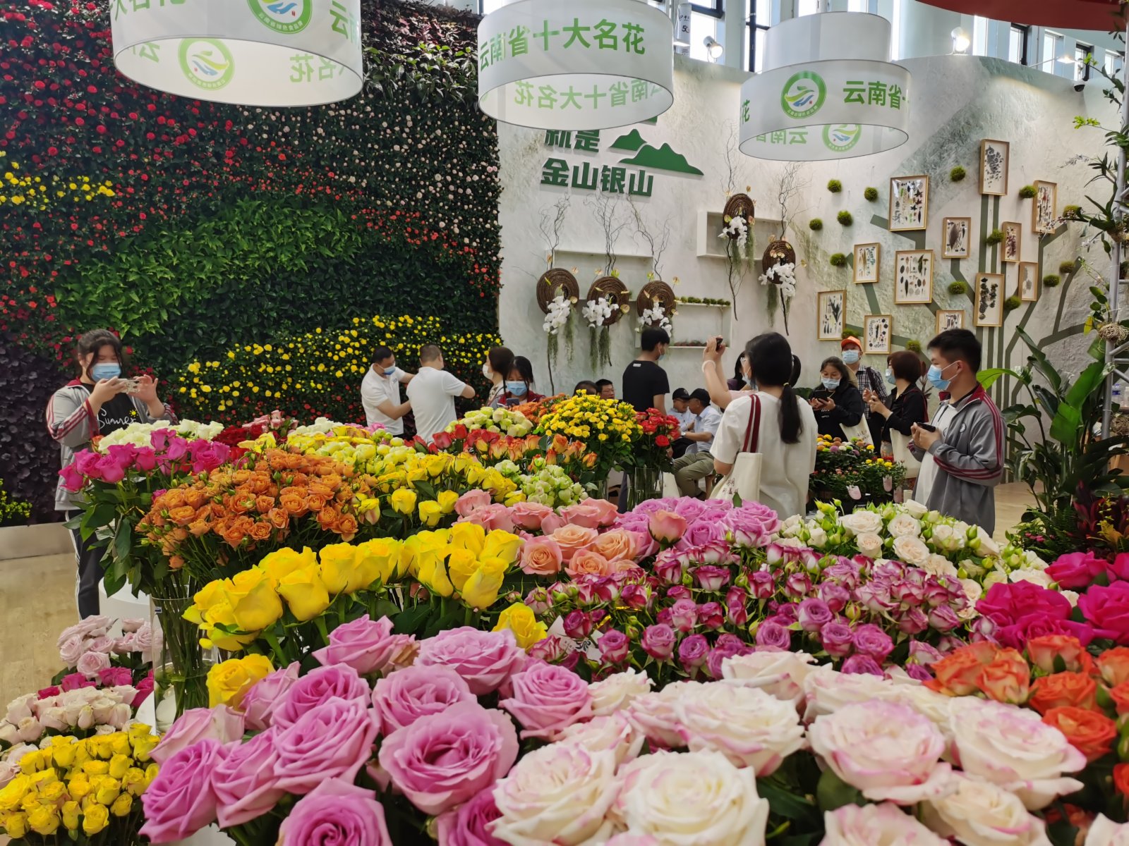 各地帶來特色鮮花,例如雲南帶來多品種玫瑰,吸引大量遊客。 各地帶來特色鮮花,例如雲南帶來多品種玫瑰,吸引大量遊客。