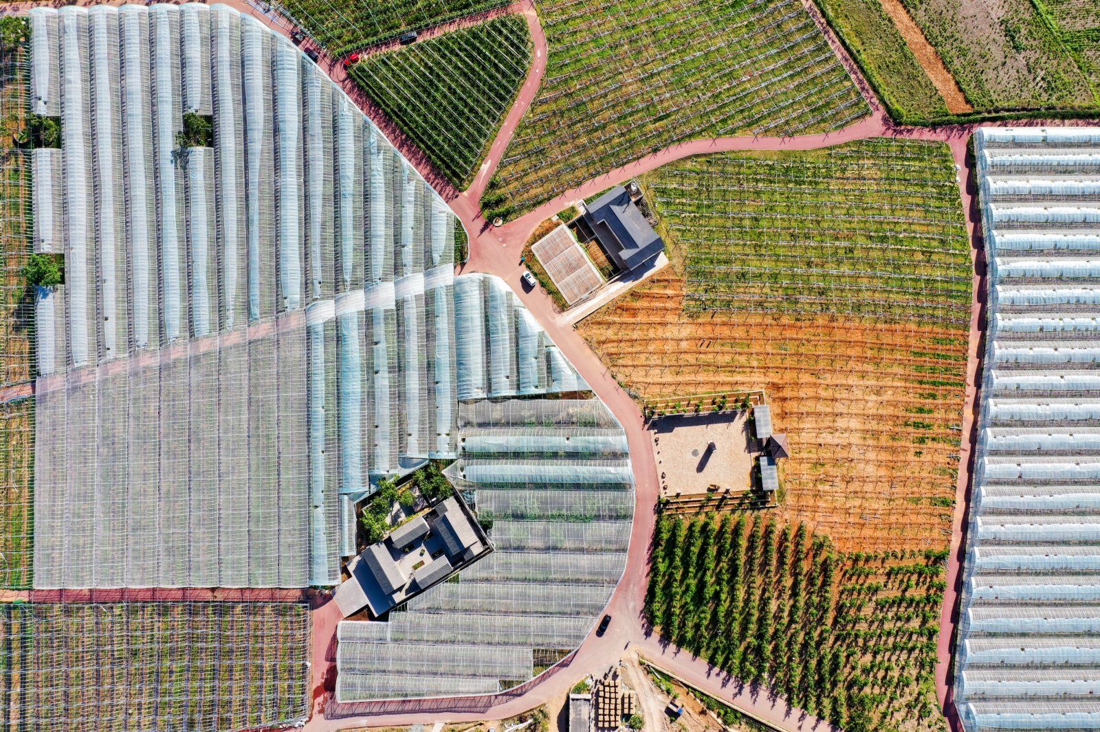 這是6月3日拍攝的河北省遷西縣花鄉果巷田園綜合體果蔬種植大棚（無人機照片）。（新華社）