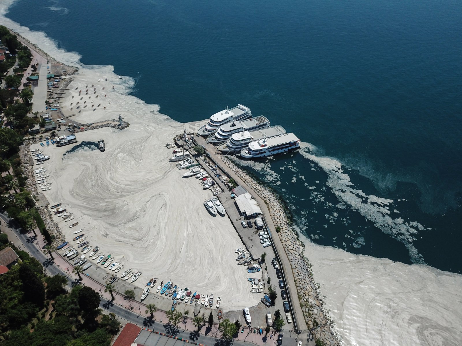 這是6月6日在土耳其伊斯坦布爾附近的馬爾馬拉海岸邊拍攝的「海鼻涕」（無人機照片）。（新華社）