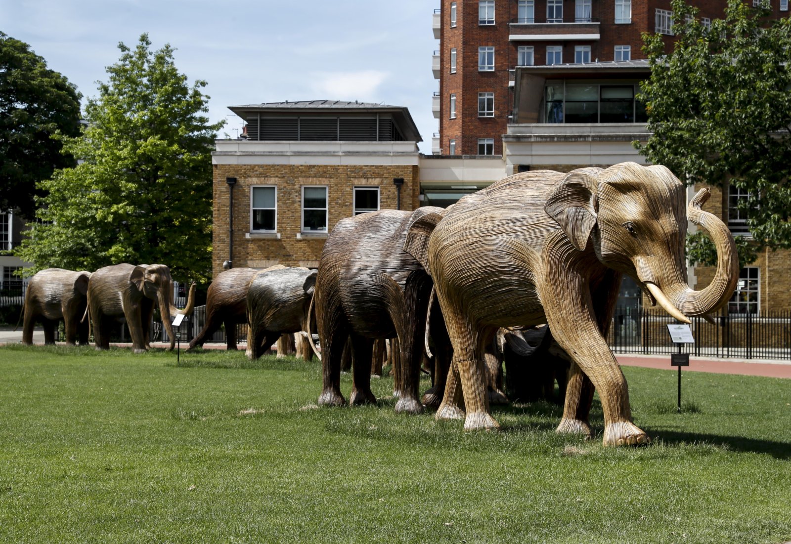 6月8日在英國倫敦切爾西街頭拍攝的大象藝術品。（新華社）