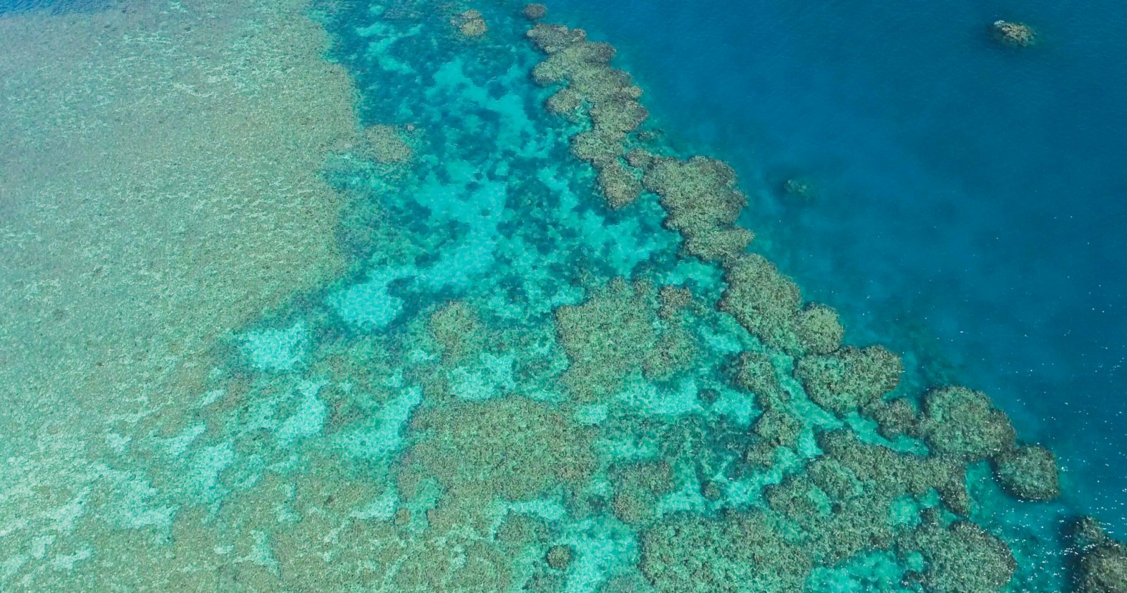 這是6月2日在澳大利亞昆士蘭拍攝的大堡礁（無人機照片）。（新華社）