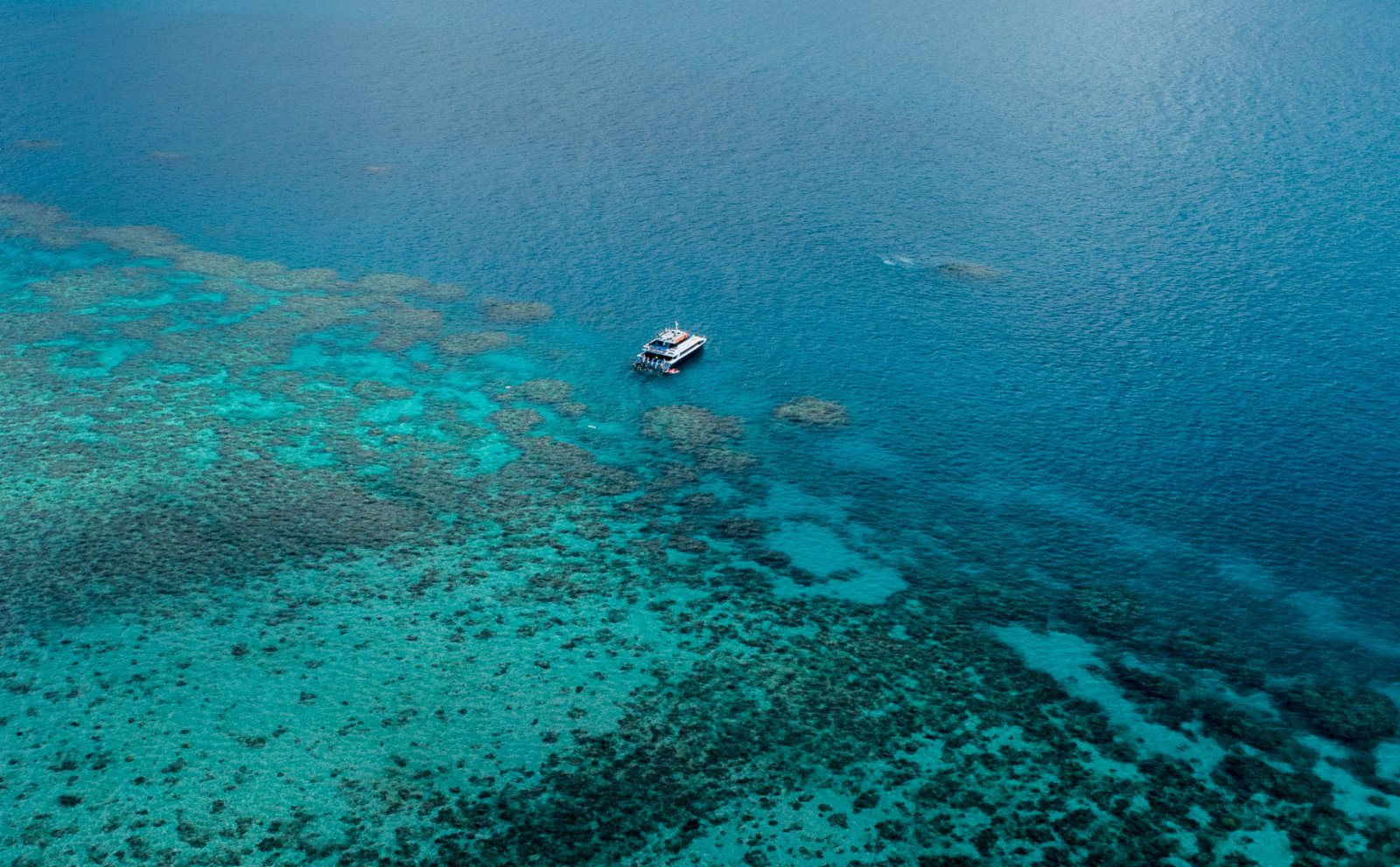 這是6月2日在澳大利亞昆士蘭拍攝的大堡礁（無人機照片）。（新華社）