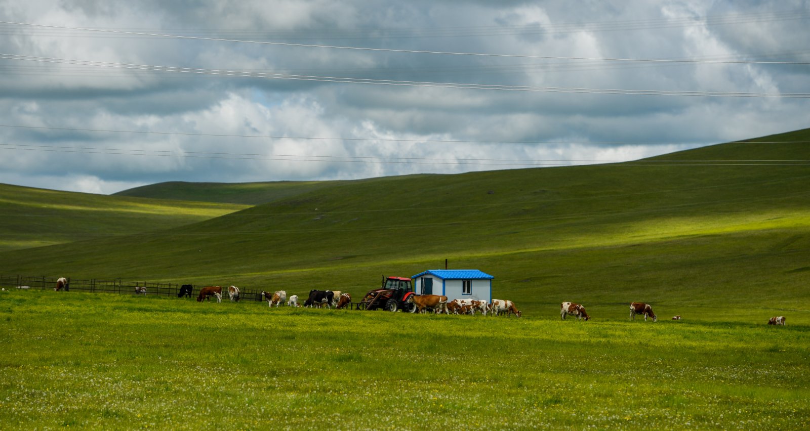 這是內蒙古呼倫貝爾332國道旁的森林草原風光（6月10日攝）。（新華社）