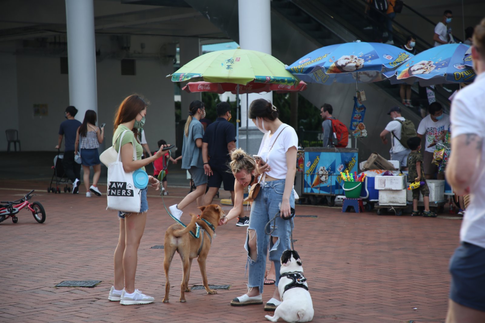 6月19日，香港疫情放緩，有市民帶寵物在中環碼頭休閑消暑。（中新社）
