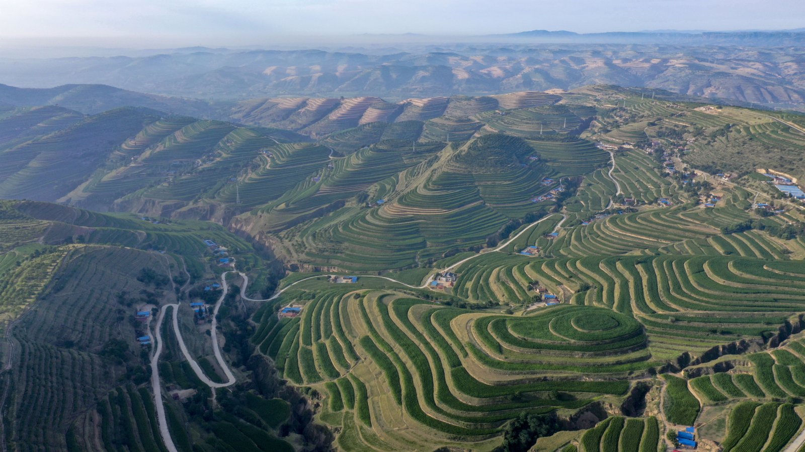 這是7月14日在寧夏固原市彭陽縣拍攝的青雲灣旱作梯田公園（無人機照片）。（新華社）