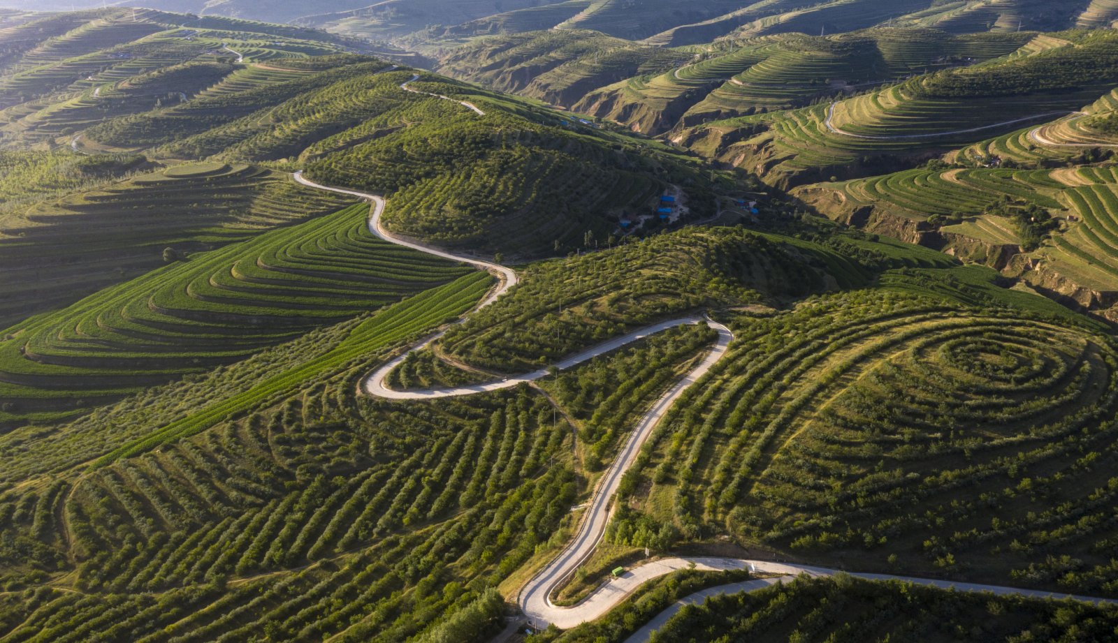 這是7月13日在寧夏固原市彭陽縣拍攝的青雲灣旱作梯田公園（無人機照片）。（新華社）