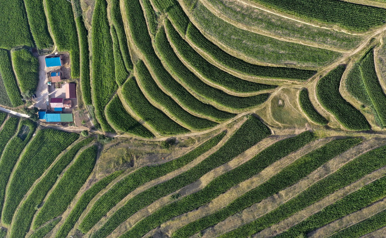這是7月14日在寧夏固原市彭陽縣拍攝的旱作梯田（無人機照片）。（新華社）