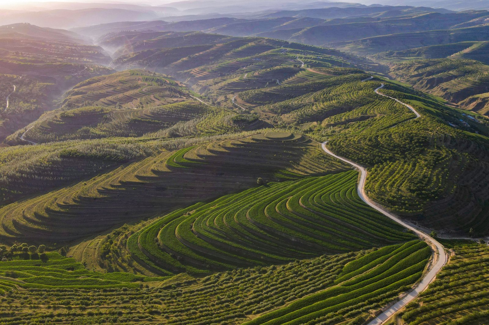 這是7月13日在寧夏固原市彭陽縣拍攝的青雲灣旱作梯田公園（無人機照片）。（新華社）