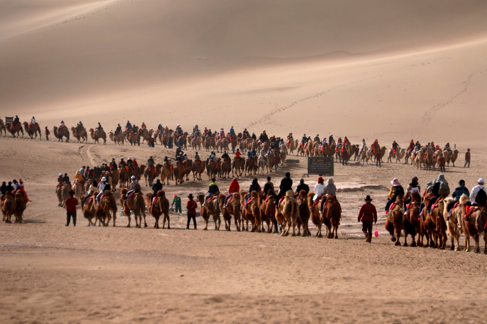 遊客在甘肅省敦煌市鳴沙山月牙泉景區遊覽，駝隊排起「長龍」。（香港文匯報記者張曉亮攝）