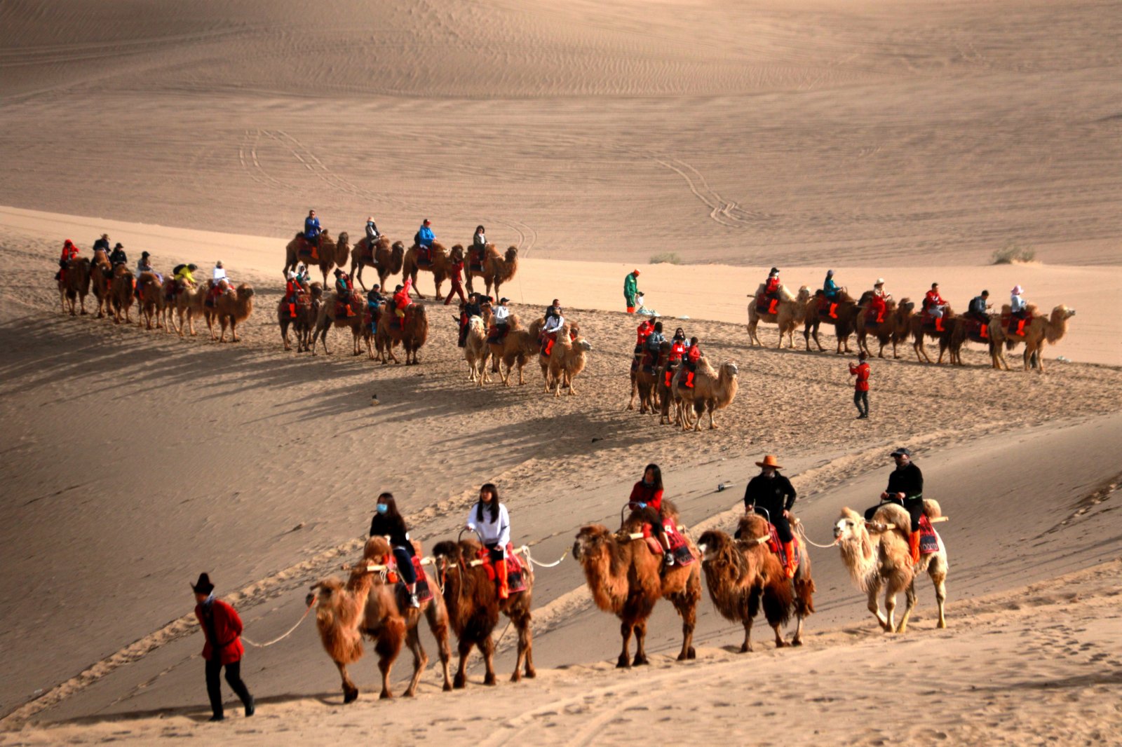 乘騎駱駝欣賞大漠風光，是遊客在敦煌最喜愛的旅遊體驗項目之一。（香港文匯報記者張曉亮攝）