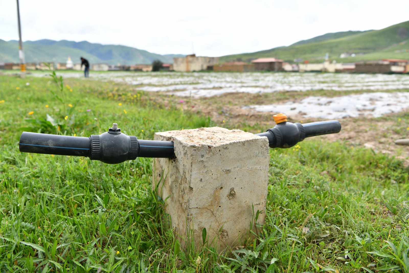 壤塘縣瑟谷村蔬菜基地內的灌溉設施。（新華社）