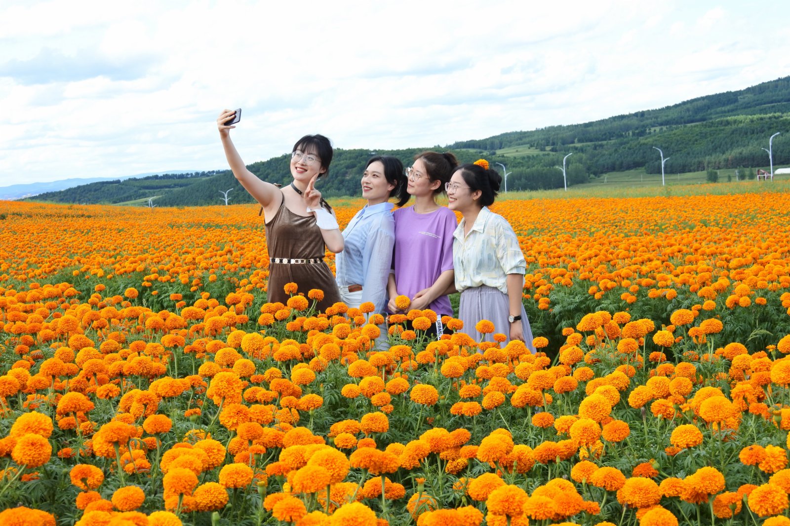 8月3日，遊客在興隆鎮萬壽菊種植園遊覽拍照。（新華社）