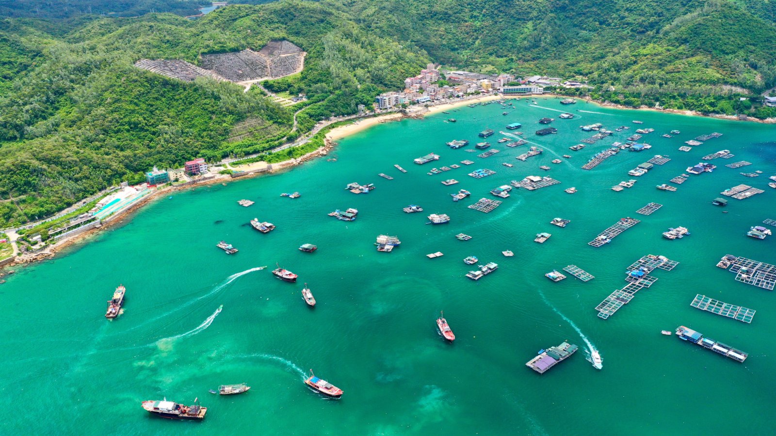 位於廣東省深圳市大鵬南澳海域大中小型漁船紛紛起航出海。（中新社）