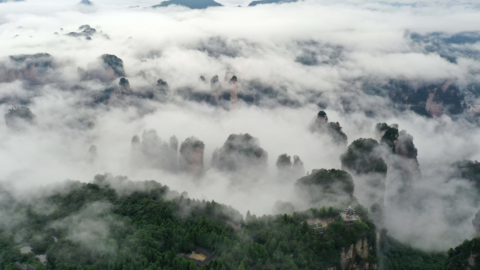 這是8月28日在張家界武陵源景區黃石寨拍攝的雲海景觀（無人機照片）。 新華社