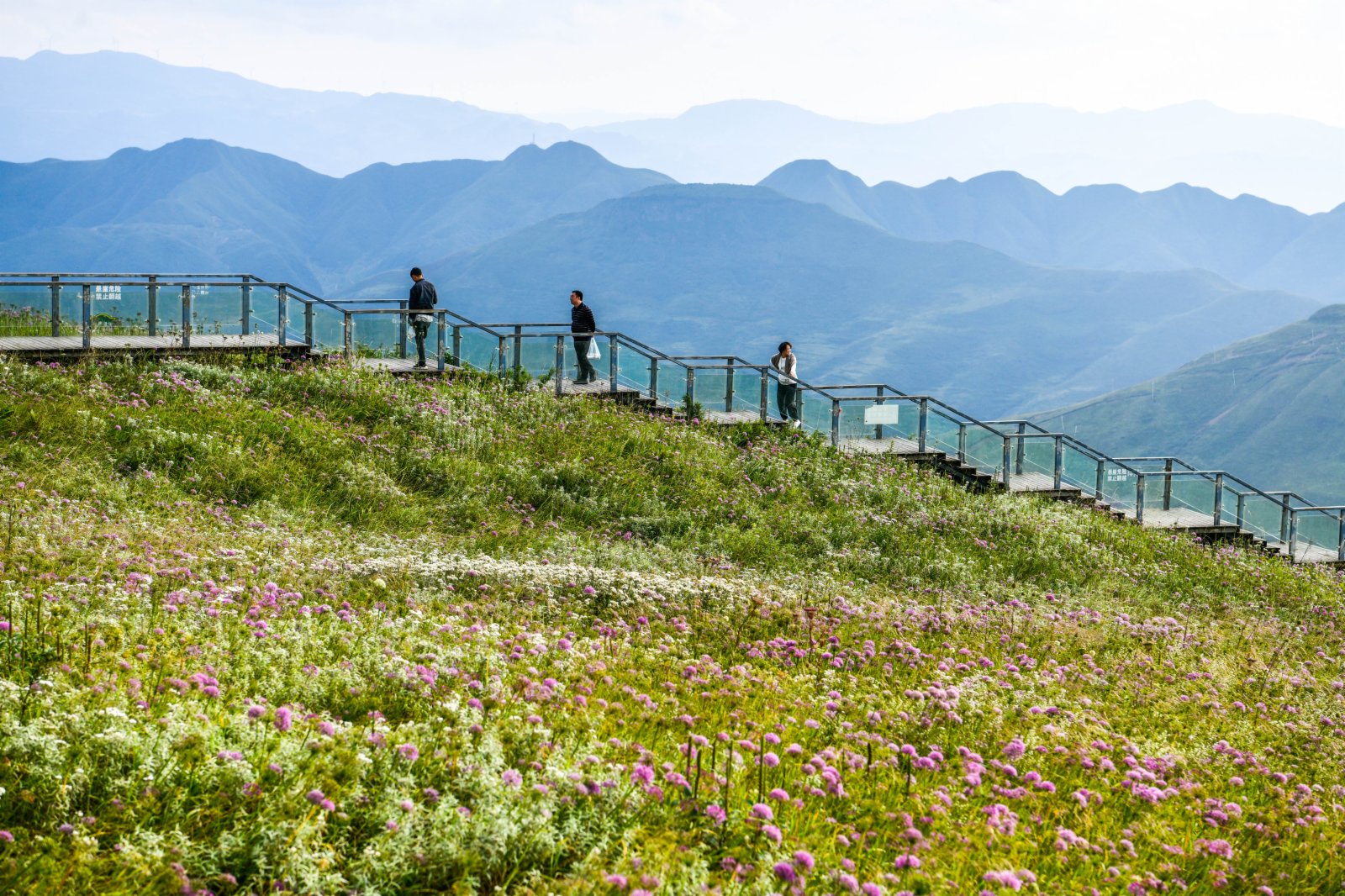 9月3日，遊客在貴州省赫章縣阿西里西·韭菜坪景區旅遊觀光。（新華社）