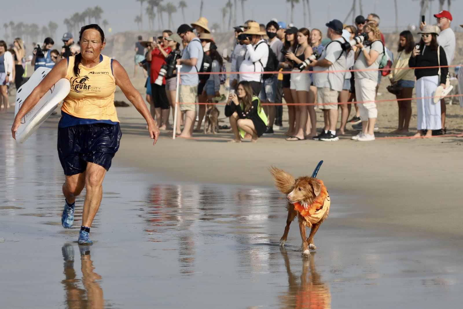 9月25日，在美國加利福尼亞州，一隻參賽犬和它的主人在比賽中。（新華社）