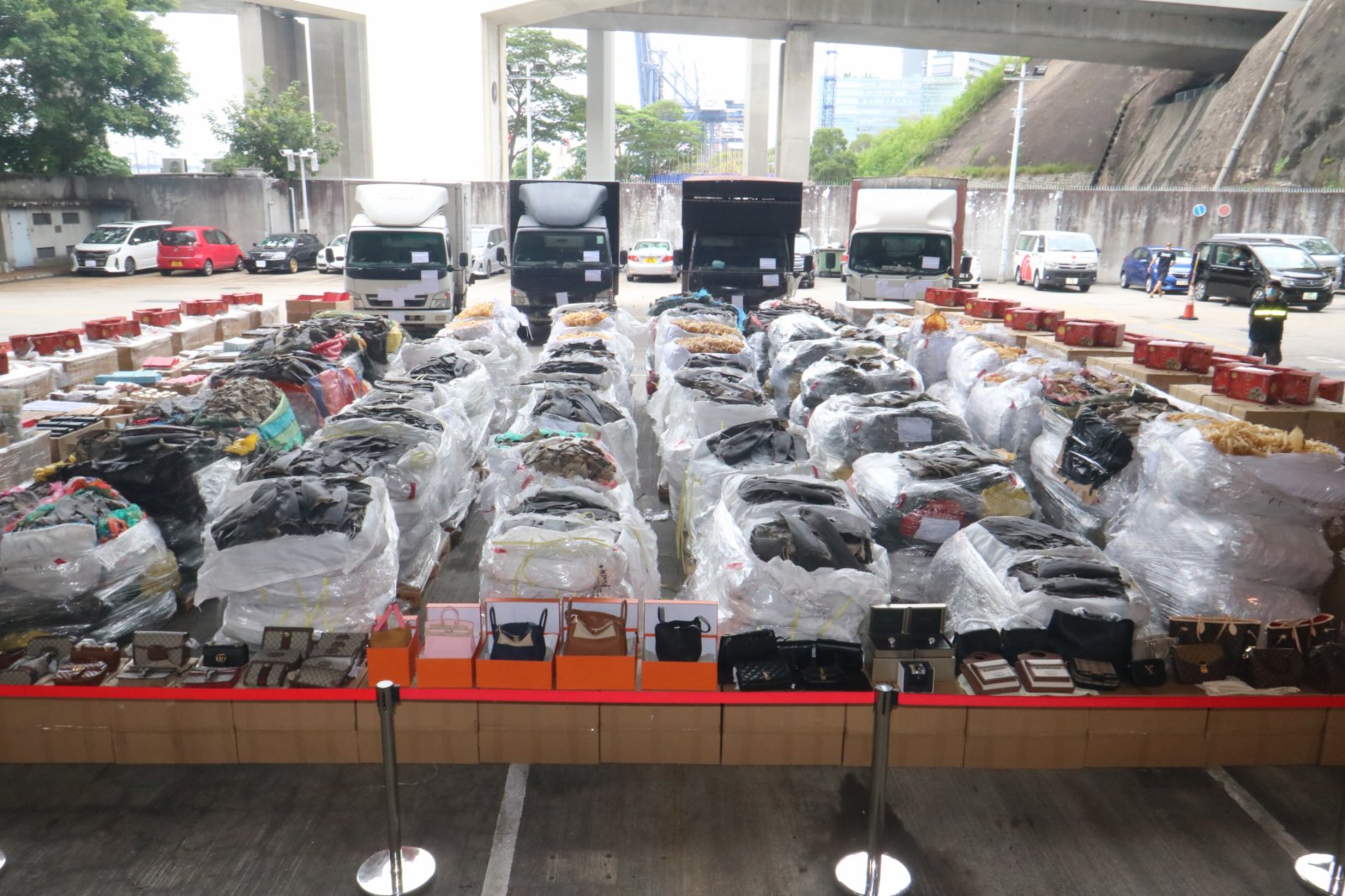 10月7日,海關舉行記者會宣布偵破歷來最大宗走私案件。行動中拘捕一名男子,並扣查四輛貨車,檢獲一批市值約2.1億港元的懷疑走私物品,包括高價值貨品、貴價食材及受管制瀕危物種。(香港文匯報記者劉友光攝)
10月7日,海關舉行記者會宣布偵破歷來最大宗走私案件。行動中拘捕一名男子,並扣查四輛貨車,檢獲一批市值約2.1億港元的懷疑走私物品,包括高價值貨品、貴價食材及受管制瀕危物種。(香港文匯報記者劉友光攝)