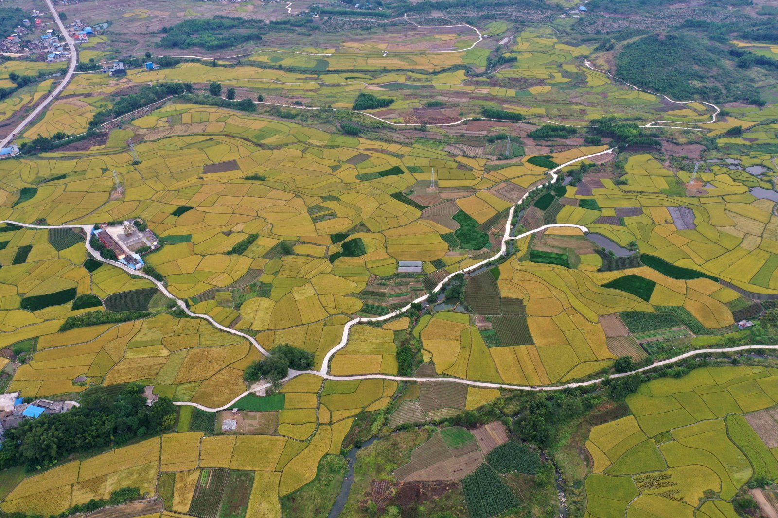 這是廣西融安縣潭頭鄉新桂村的田園風光（10月23日攝，無人機照片）。（新華社）