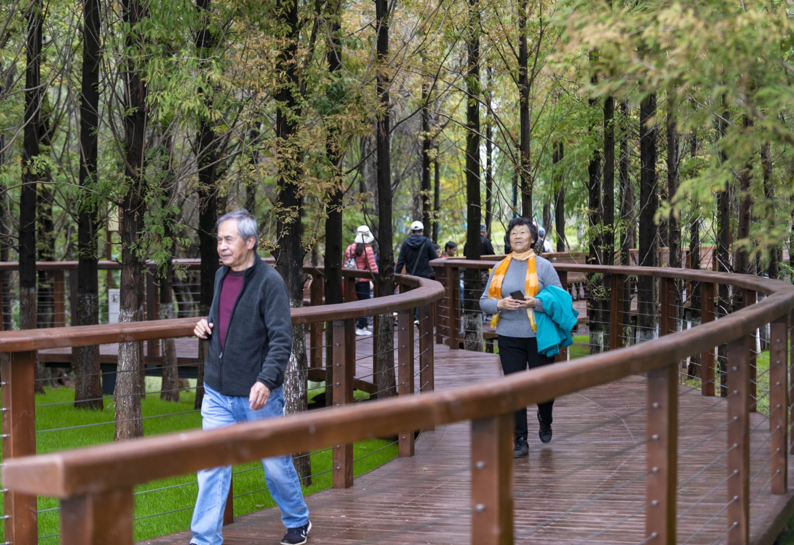 10月25日，遊客在寶豐半島濕地森林棧道遊覽。（新華社）