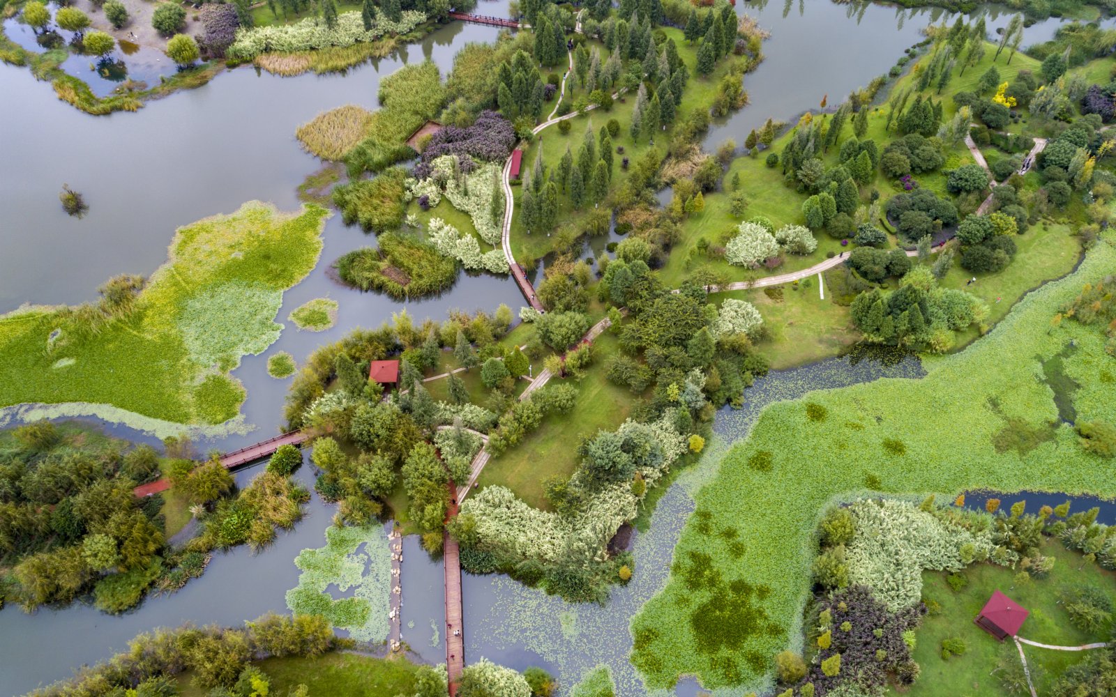 10月25日拍攝的寶豐半島濕地（無人機照片）。（新華社）