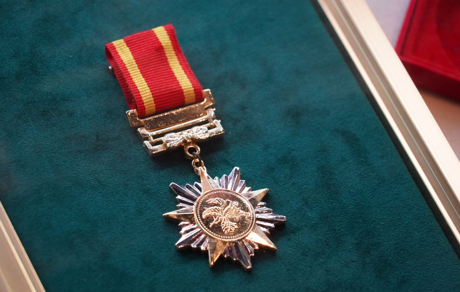 展覽展出2005年頒授予莊世平的「中國人民抗日戰爭勝利60周年」紀念章。