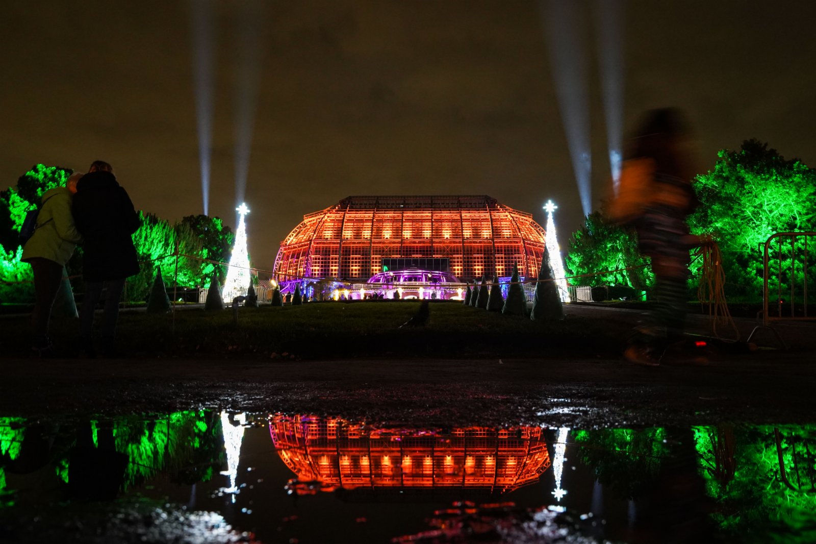 11月19日，德國柏林植物園內的建築被燈光點亮。（新華社）