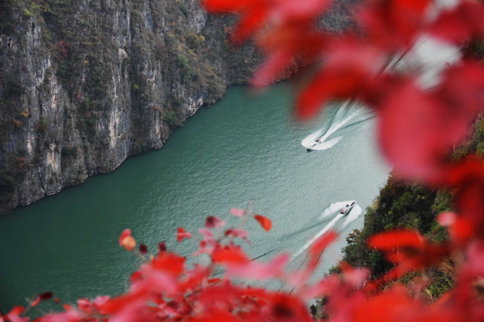11月21日，兩艘快艇行駛在紅葉映襯下的巫山小三峽的龍門峽。（新華社）