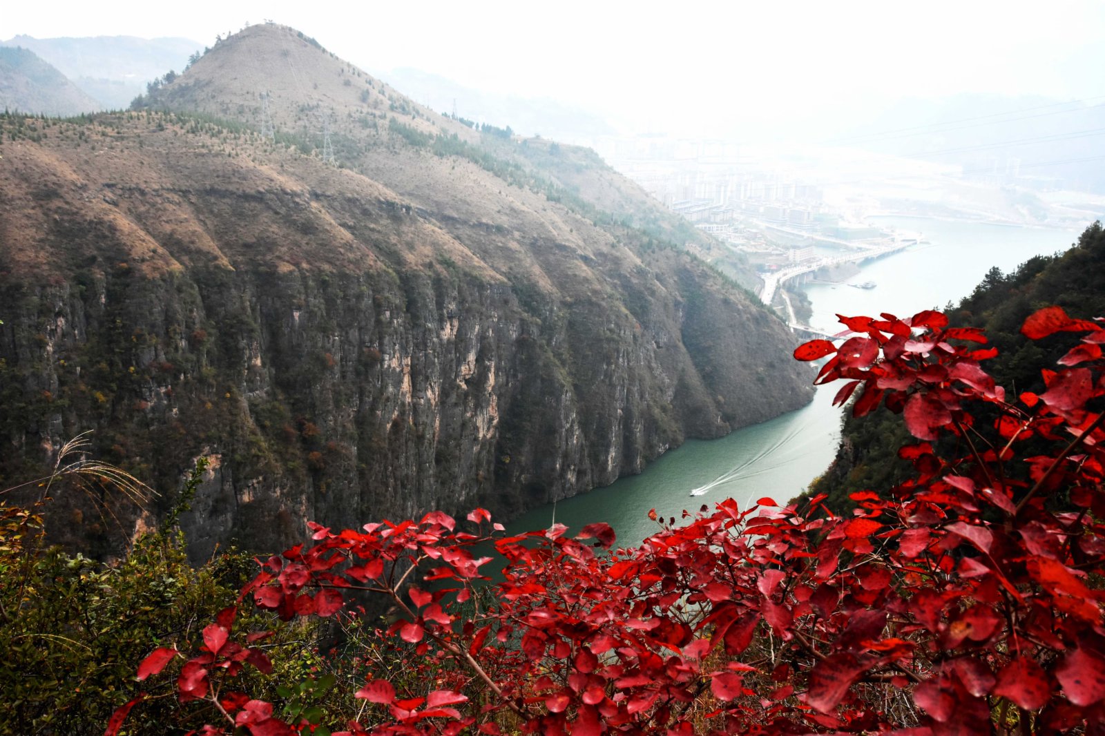  11月21日，一艘快艇行駛在紅葉映襯下的巫山小三峽的龍門峽。（新華社）
