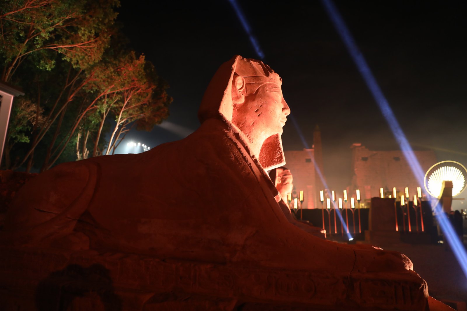 這是11月25日在埃及盧克索拍攝的獅身人面像。