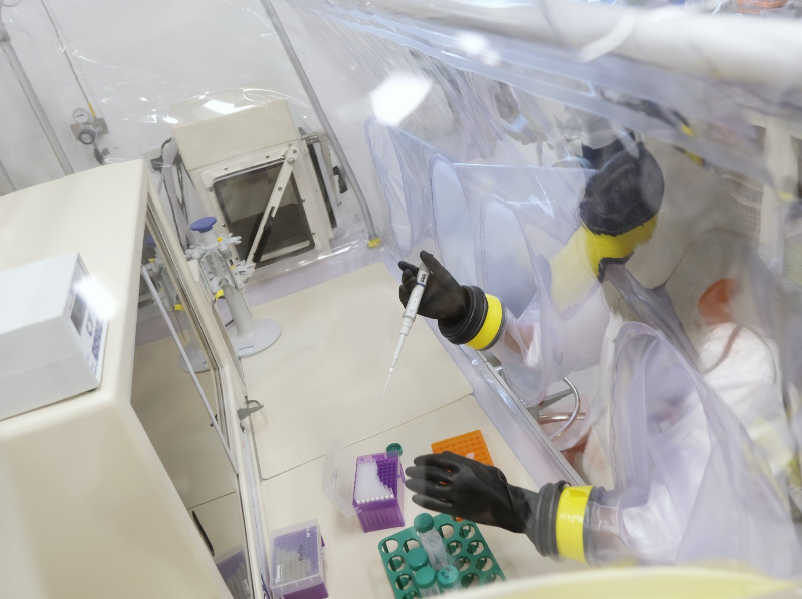 12月1日，在香港中文大學，香港微生物菌群創新中心的團隊成員在實驗室工作。（新華社）