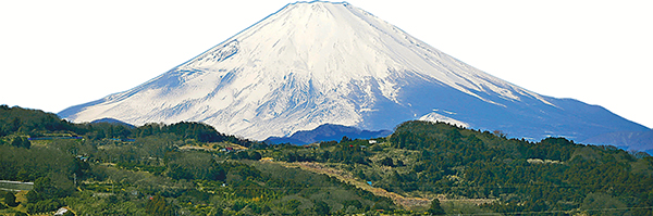 遊日注意！富士山7月1日起啟用閘門　每日限流4000人