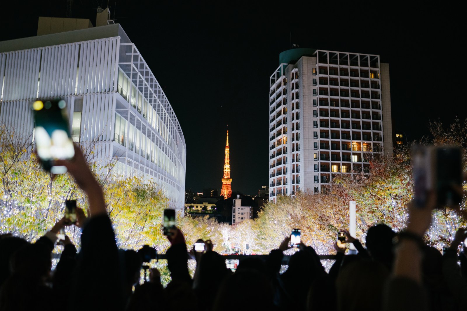 人們在日本東京觀賞聖誕燈飾。（新華社）