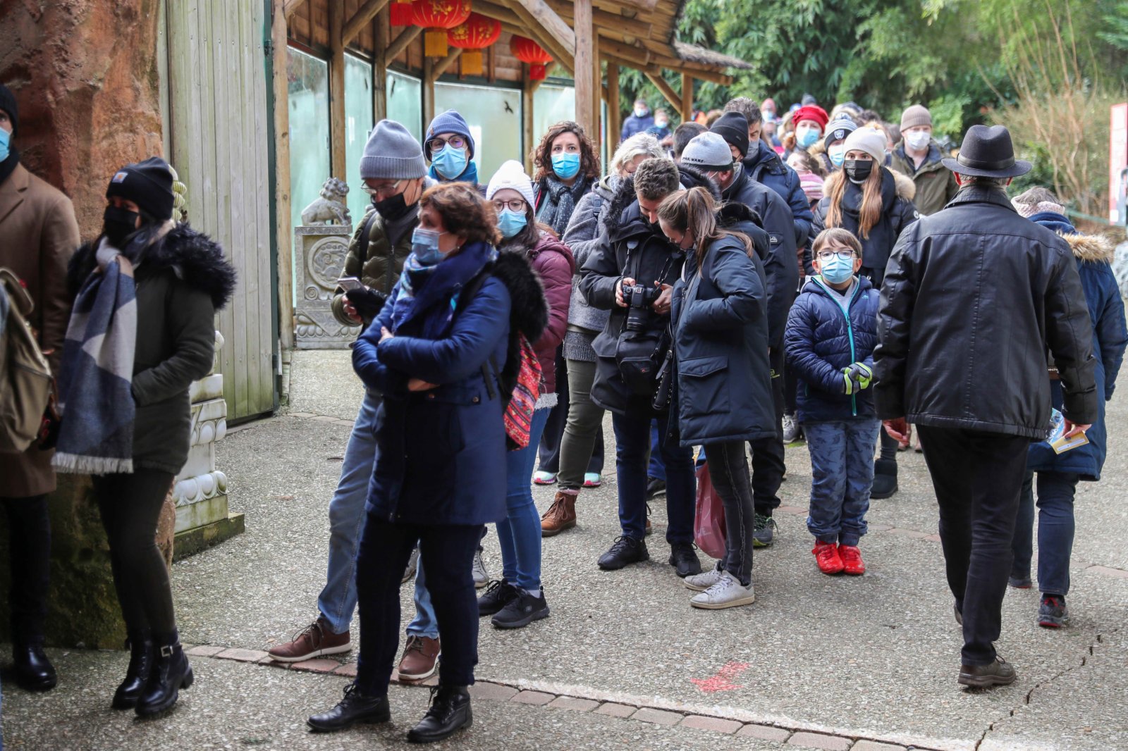 圖為大批民眾排隊等候入園，希望能盡早看到「歡黎黎」「圓嘟嘟」。（中新社）