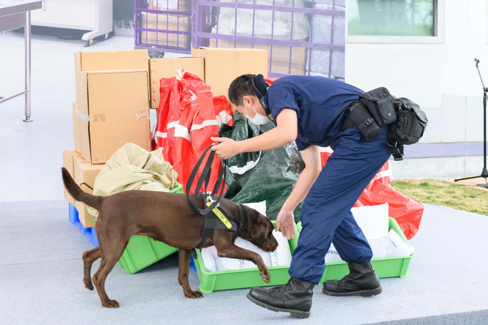 圖示領犬員帶領槍械搜查犬示範進行嗅查工作。（政府新聞處圖片）