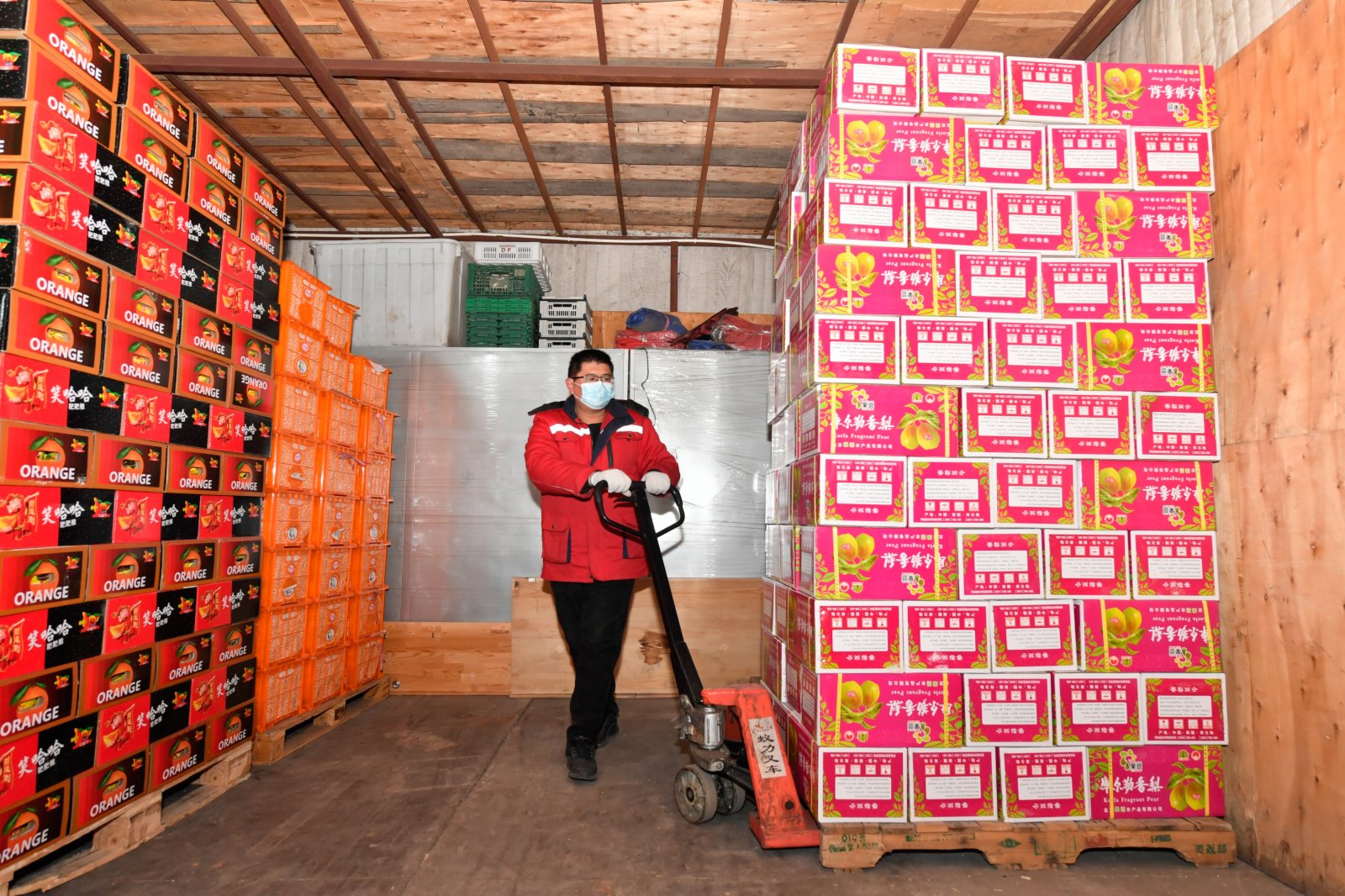 1月11日，商戶在天津市紅旗農貿綜合批發市場的庫房內整理水果。（新華社）