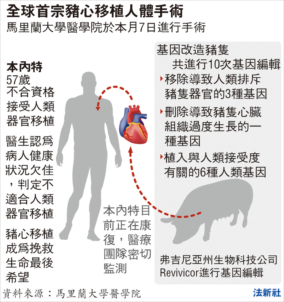 美漢移植基因改造豬心 全球首例 國際 香港文匯網